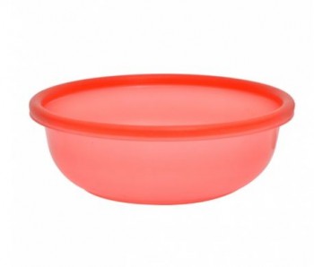 Chậu 3T Thái Nhũ - SL