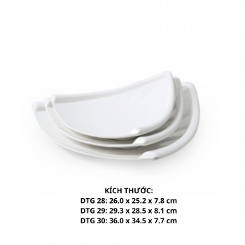 Dĩa DTG 29 - HRC - FTC