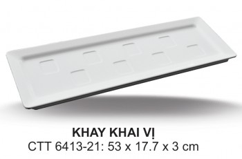 CTT6413-21 Khay 21 (Trắng Trơn) - ET