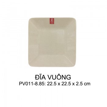 PV011-8.85 Dĩa Vuông 8.85 (Nâu Đá) -  SPW
