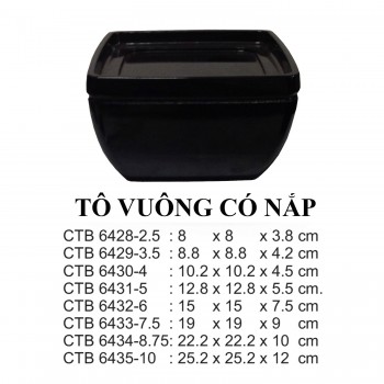 CTB6435-10 Tô Vuông 10 (Đen) -  ET