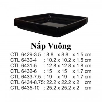 CTL6434-8.75 Nắp Tô Vuông 8.75 (Đen) -  ET
