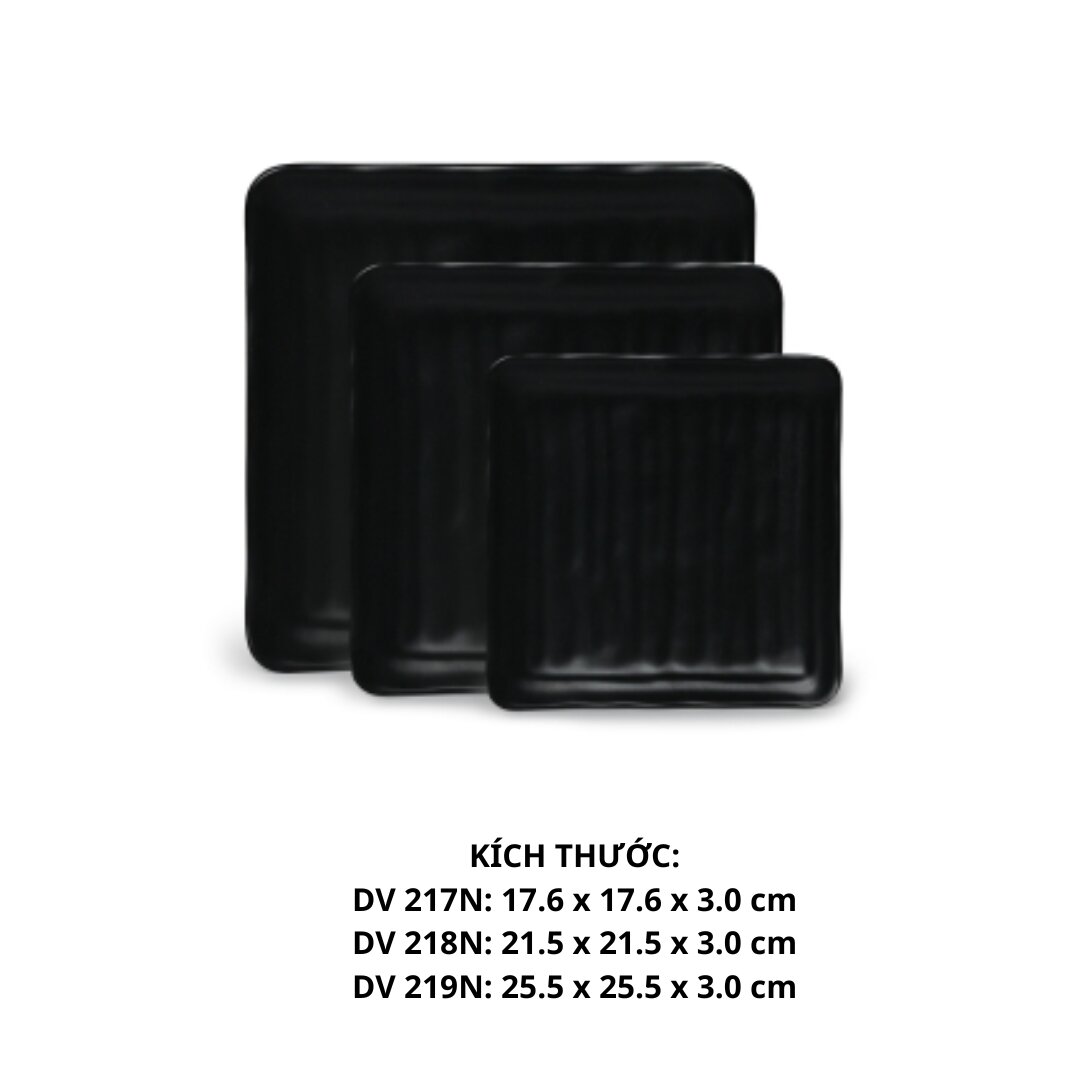 Dĩa  Dv 219 - DV219 - Nhám Đen - FTC